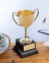 EIO Gifts Personalised Gold Cast Recognition Cup Trophy/Award