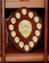 EIO Gifts Personalised Wooden Perpetual Annual Shield Award/Trophy | Customisable Sports Plaques | Football