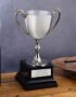 EIO Gifts Personalised Silver Cast Recognition Cup Trophy/Award