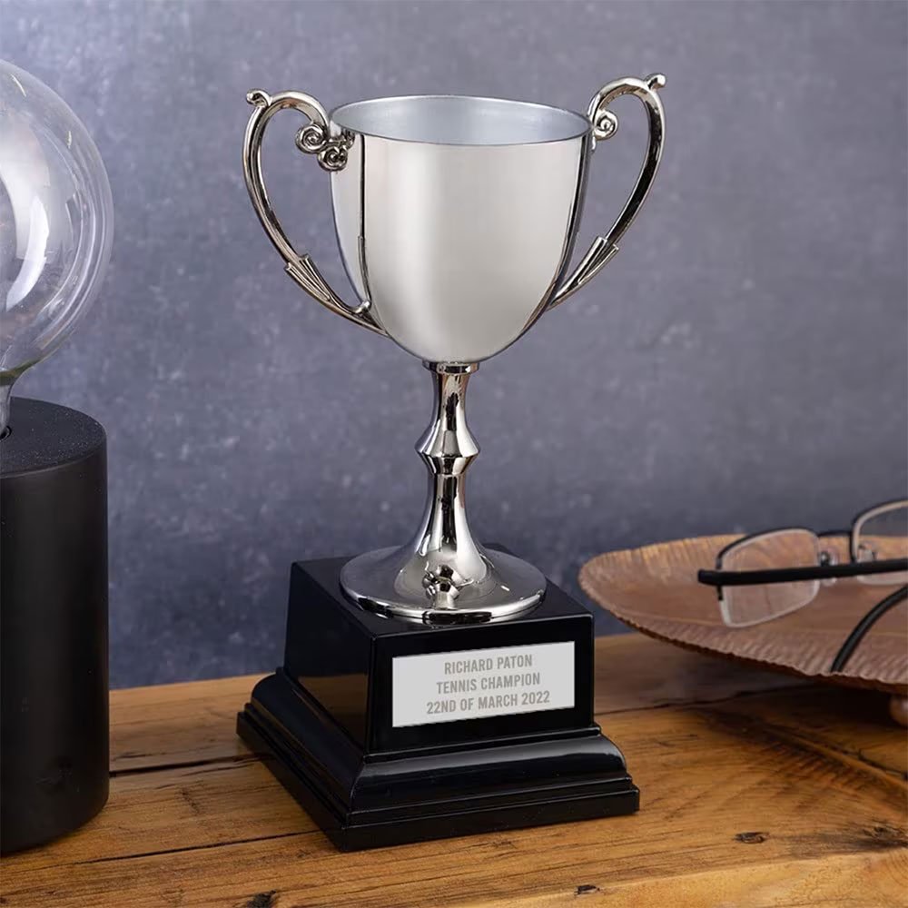 EIO Gifts Personalised Silver Cast Recognition Cup Trophy/Award